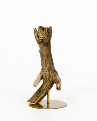 Metsän Kultainen Omena